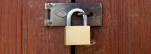 Read more about the article Great article: Should you Pay for WordPress Security?